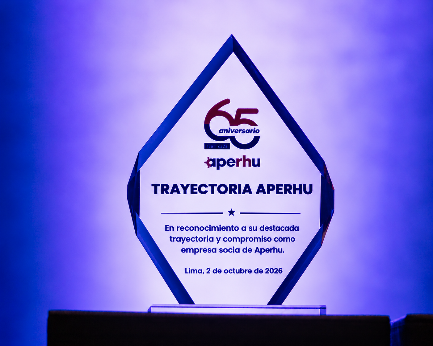 Aperhu reconoce a 28 empresas socias con la distinción Trayectoria Aperhu en su 65.º aniversario